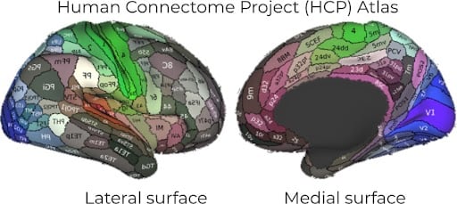 The Human Connectome Project Atlas
